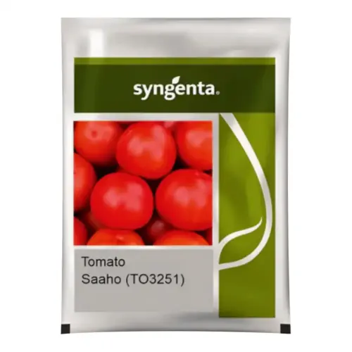 Saaho TO-3251 Tomato Seeds
