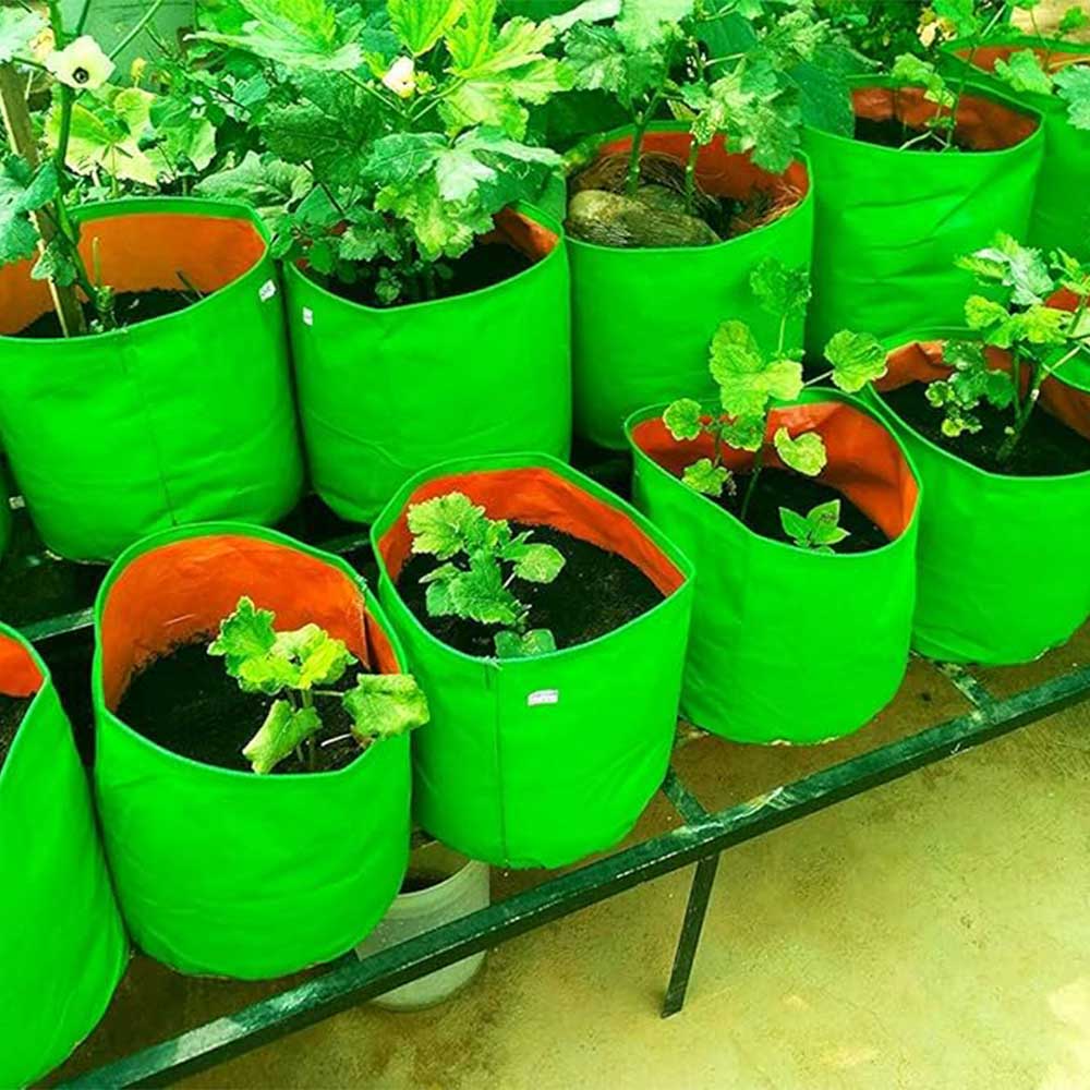 SUSI OUTDOOR Grow Bag (Set of 5) - Image 2