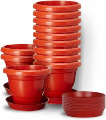 Flower Pot
