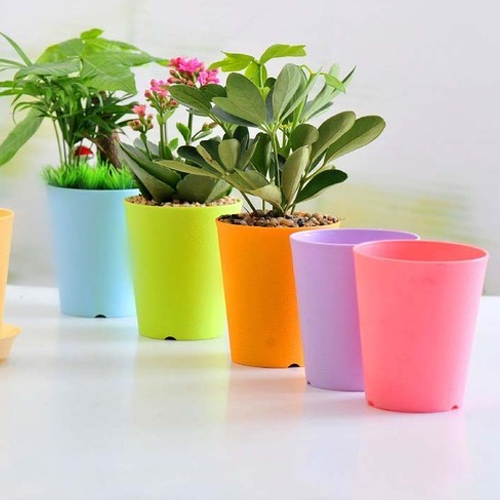 Flower Pot