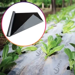 30 Micron 4 Feet Mulching Sheet/Paper/ 400 Meter Length- 4 Feet Width (30 Microns)